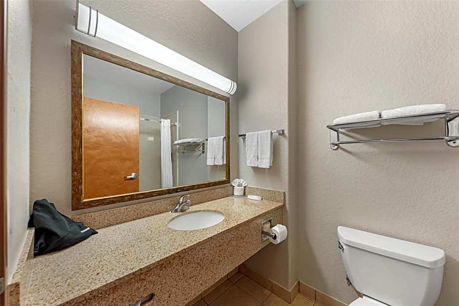 Best Western Plus San Antonio East Inn & Suites