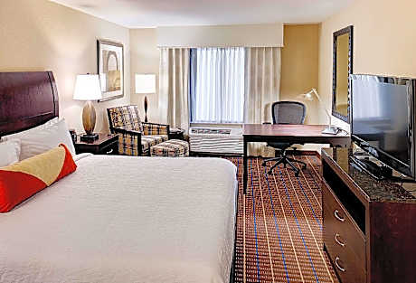 1 King Bed