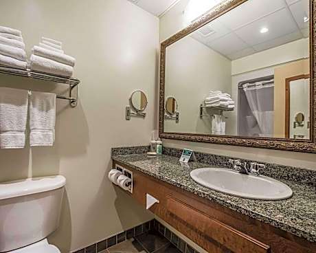 1 King Bed Nonsmoking