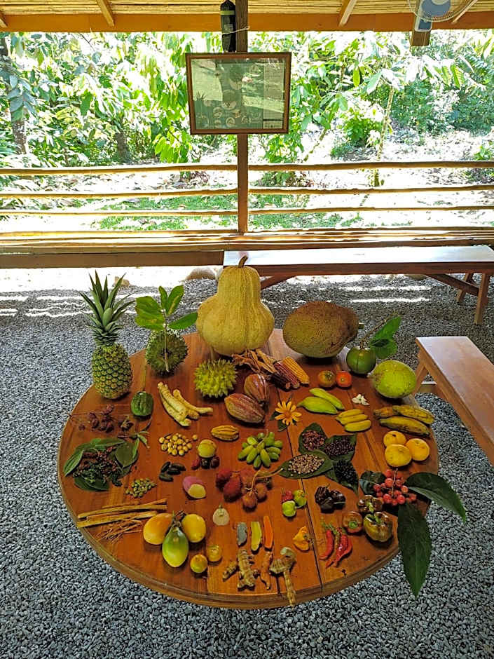 Finca Luna Nueva Lodge