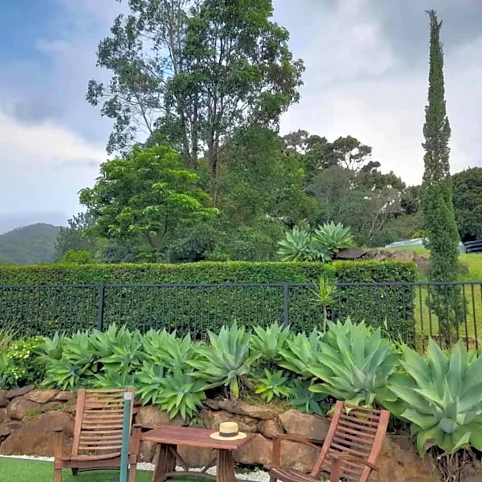 A view of Mount Warning