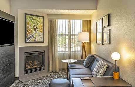 Residence Inn by Marriott Rochester Mayo Clinic Area