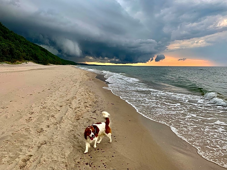 Apartamenty Na Skarpie