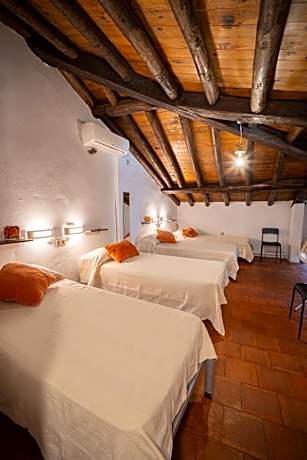Single Bed in 6-Bed Dormitory Room