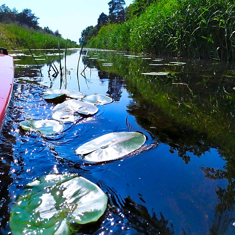 Ostoja Sosnowa Czarny Mlyn, kompleks dwóch domkow
