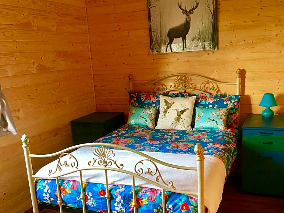 Lakeside Fishing Lodges