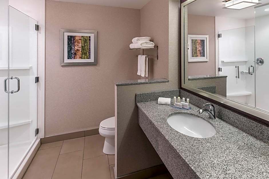 Fairfield Inn & Suites by Marriott Chicago Schaumburg