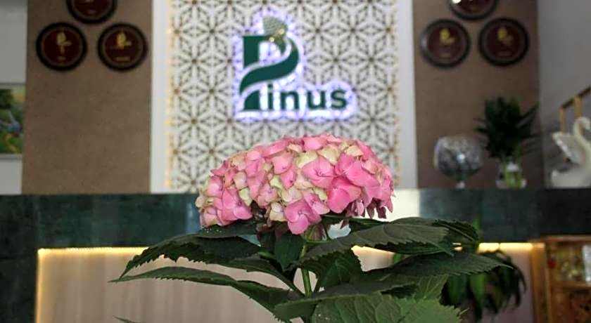 Pinus Hotel
