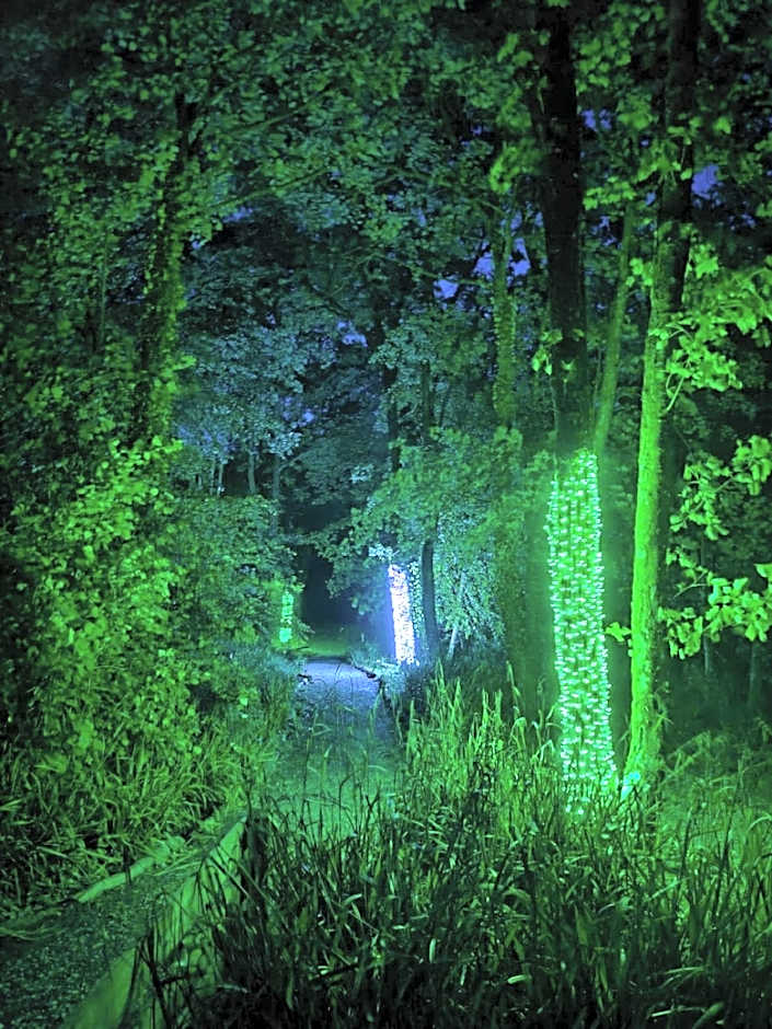 Goldcrest 3-Hot Tub-Woodland Lodges-Carmarthenshire-Tenby