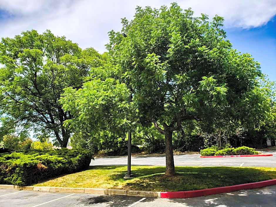 Super 8 by Wyndham Auburn