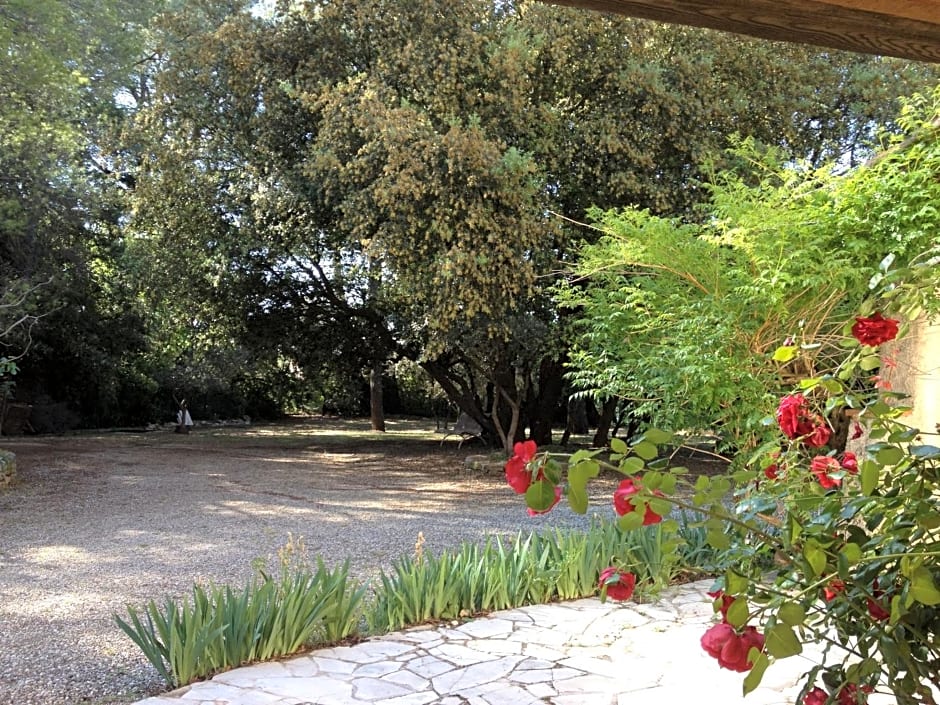 B&B Le Niaouli – Lorgues, ID