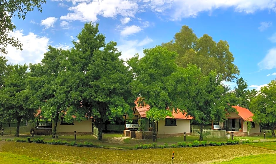 Gaia Koru Bungalows – Ortaca, MI