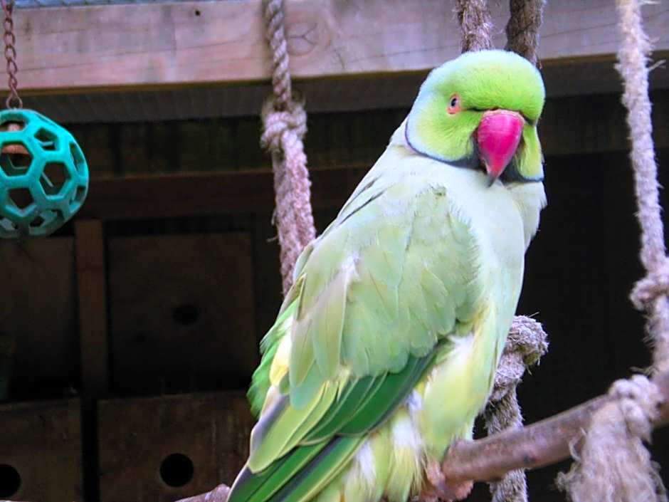 Westport Kiwi Holiday Park & Motels