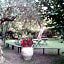 Gli Ulivi Bed & breakfast