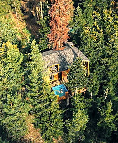 Cottage Galileo in Abastumani