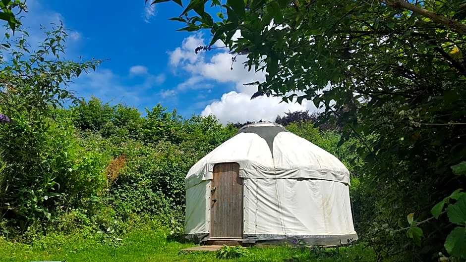 South Downs Eco Lodge & Camping