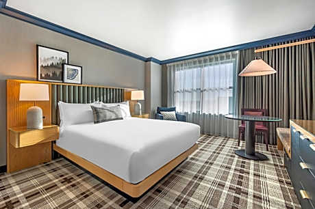 Spacious Mountain View Room - 1 King Bed