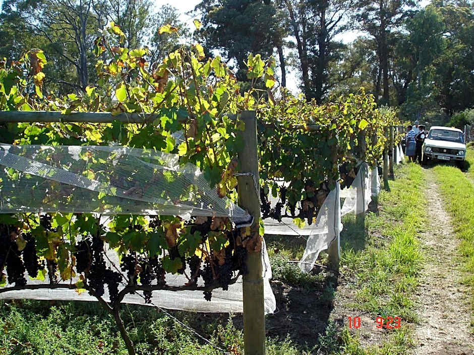 De Doornkraal Vinotel