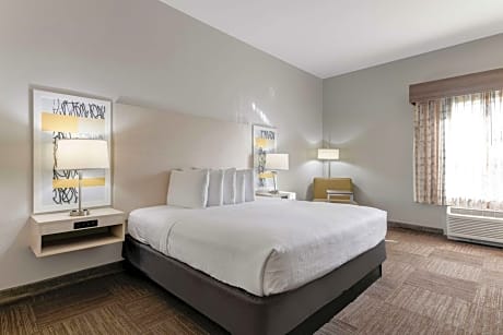 1 King Bed