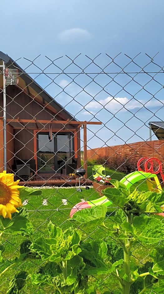 Koniczynka Jarosławiec