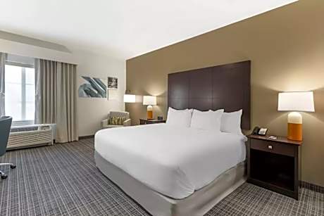 1 King Bed, Nonsmoking Accessible