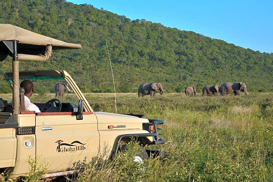 Ghoha Hills Savuti Lodge