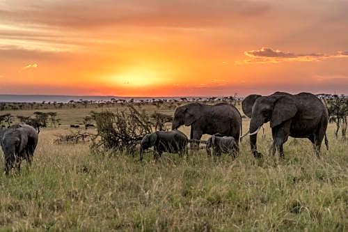 Olare Mara Kempinski