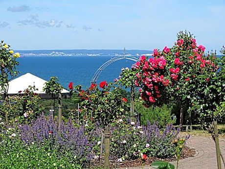 AKZENT Waldhotel Spa Rügen
