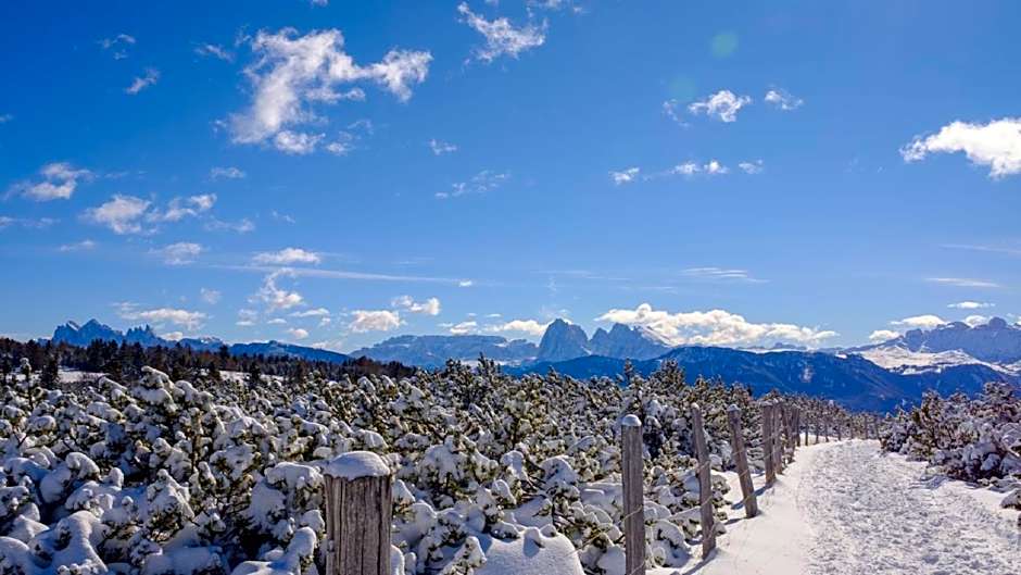 Cityhotel Goldener Adler B&B