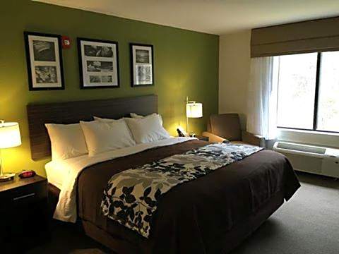 Photo 1 of 8 of Standard 1 King Bed