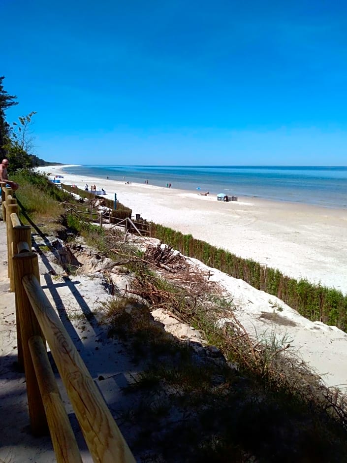 Niezapominajka Kopalino