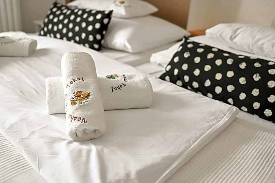 Vaskó Panzió Borpince