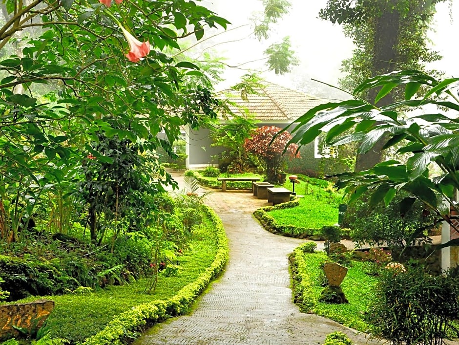 The Tall Trees Munnar