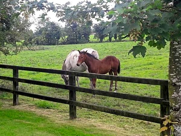 Bealkelly Country House