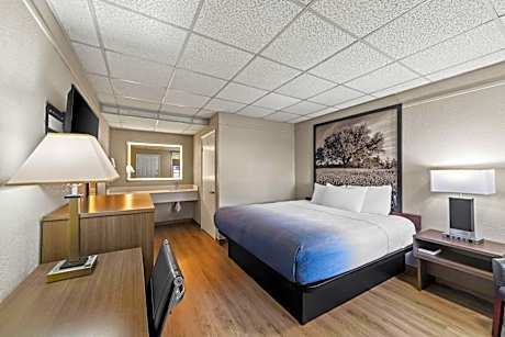 King Room with Roll-in Shower - Mobility Access/Non-Smoking