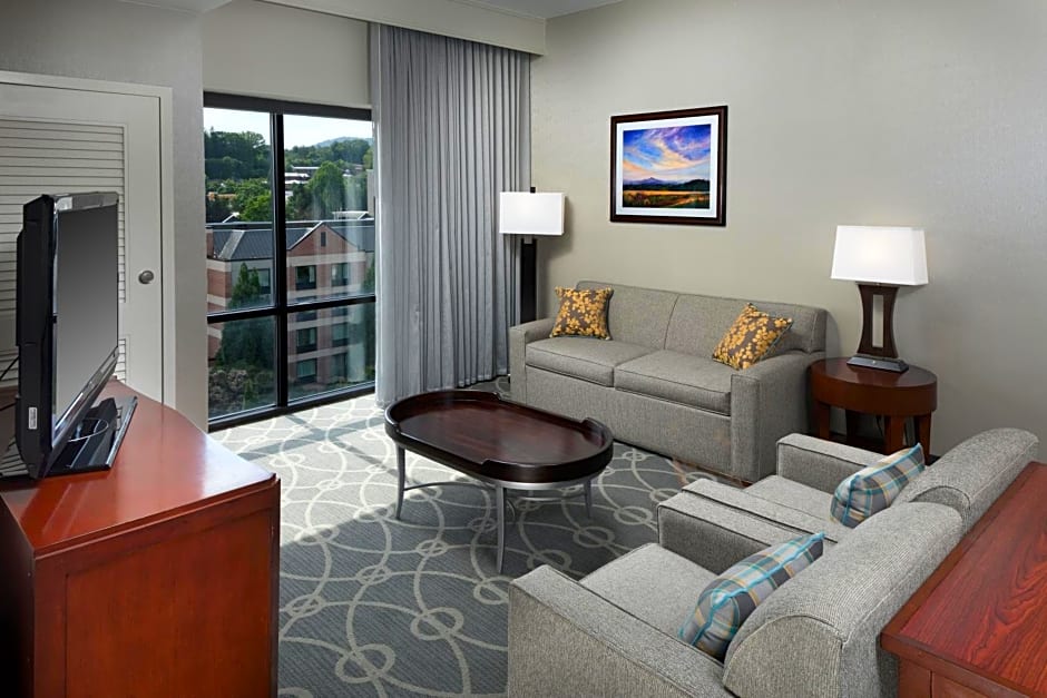 DoubleTree by Hilton Biltmore/Asheville