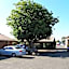 Shannon Motor Inn