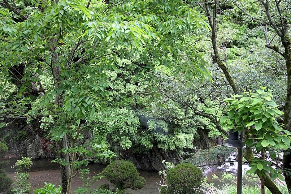 Minamitei