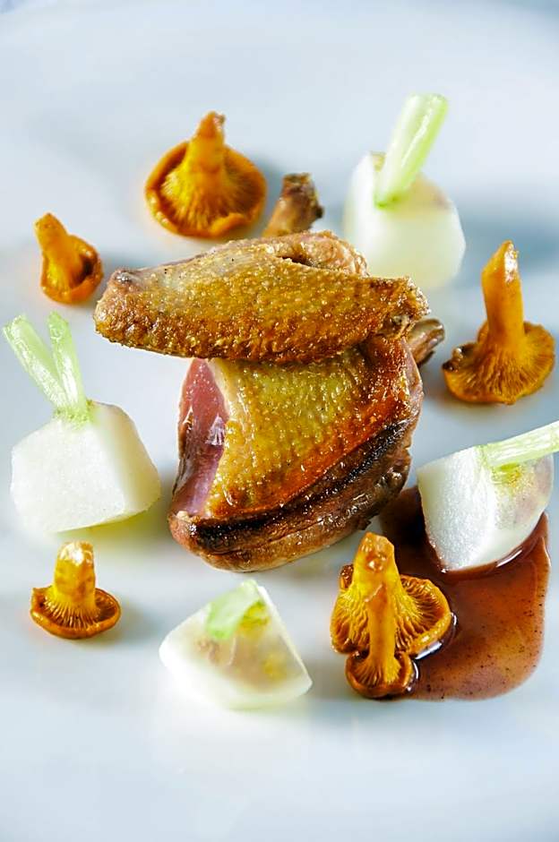 Logis Hôtel Restaurant Château Bellevue