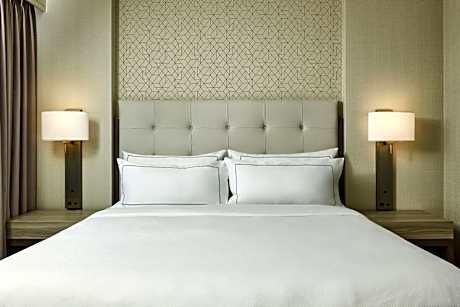 Deluxe King Suite with Plaza View