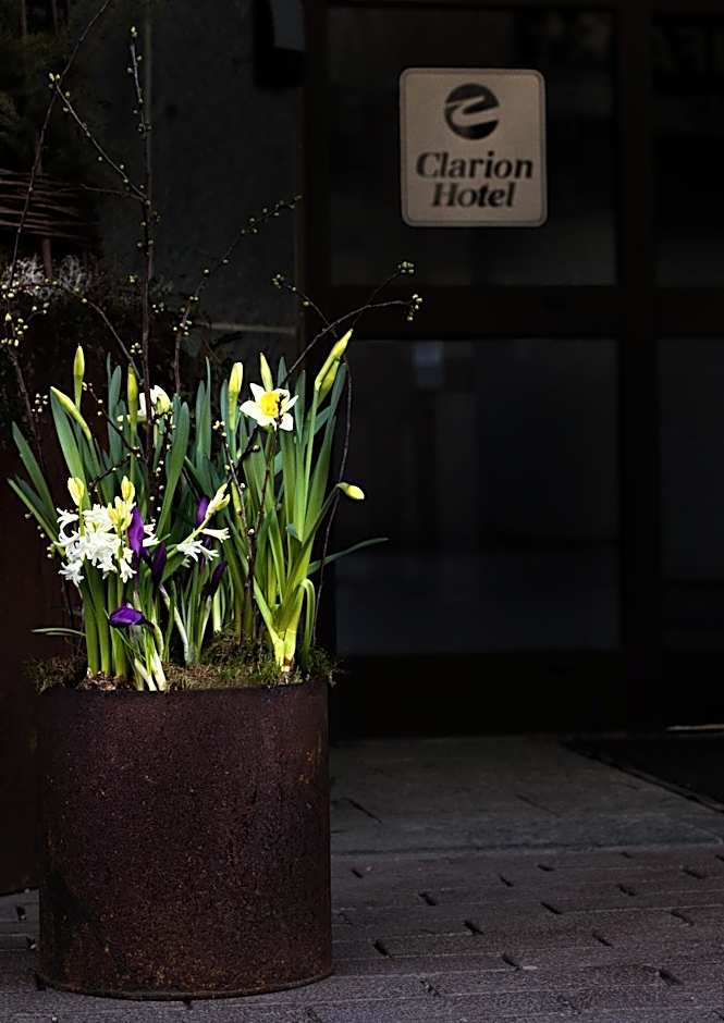 Clarion Hotel Winn