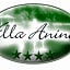 Villa Anina
