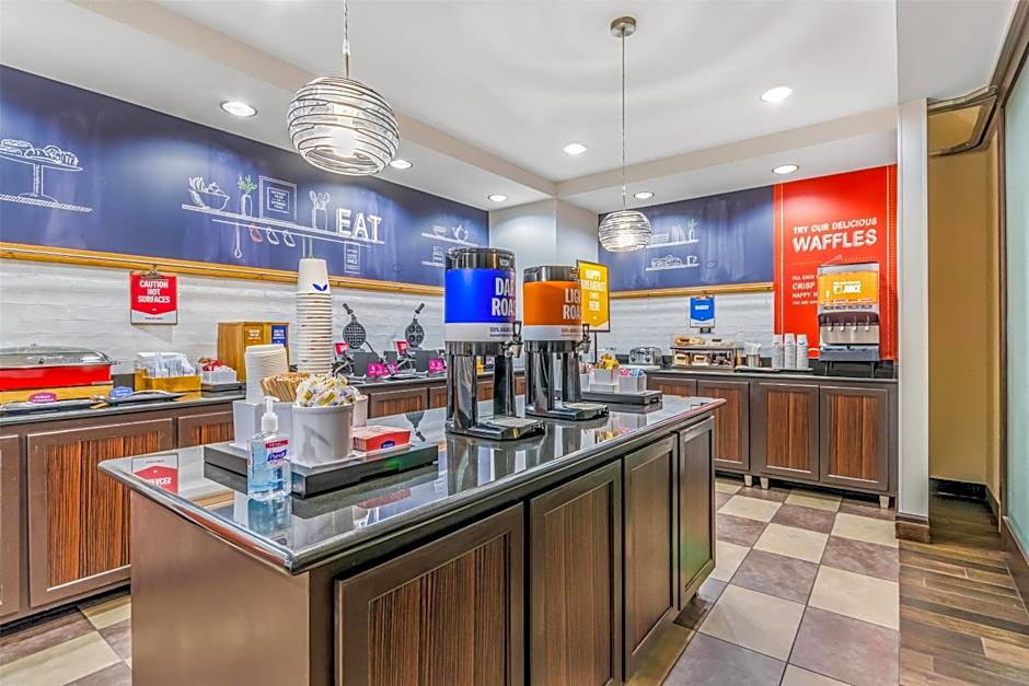 Hampton Inn By Hilton And Suites Detroit/Airport-Romulus