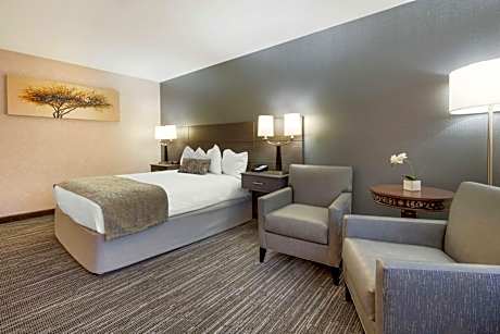 Queen Room with Bath Tub - Mobility Accessible/Non-Smoking