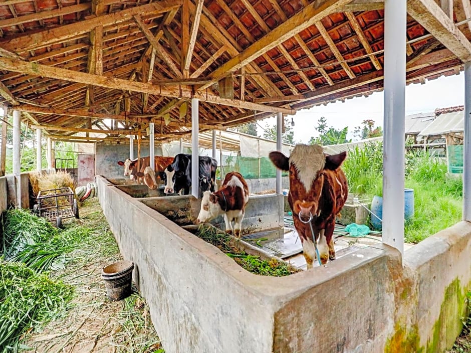 OYO Homes 90850 Cibeunying Eco Tourism Homestay Cibodas Maribaya 2