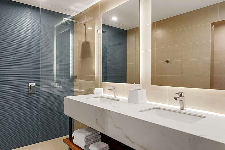 Hilton Garden Inn San Jose Airport City Mall