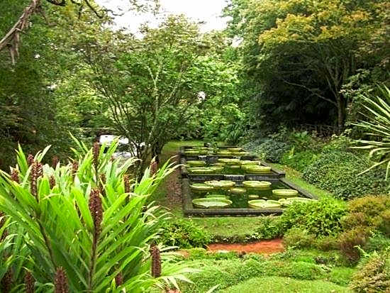 Aparthotel Barracuda