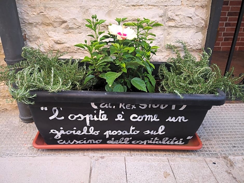 ROBERTO's Guest House