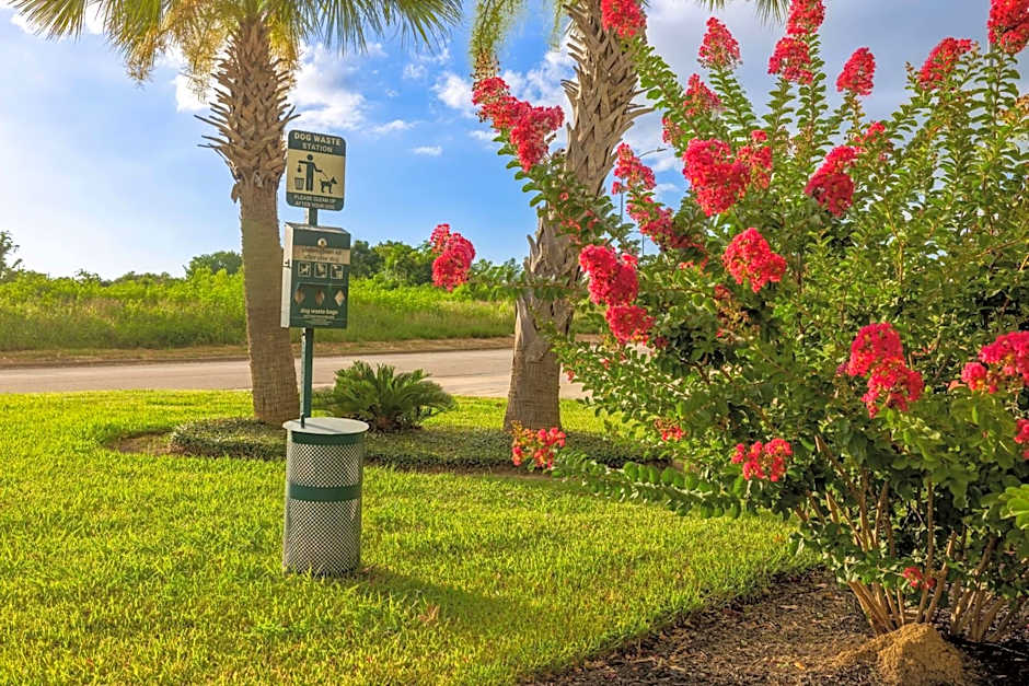 Hampton Inn By Hilton And Suites Brenham