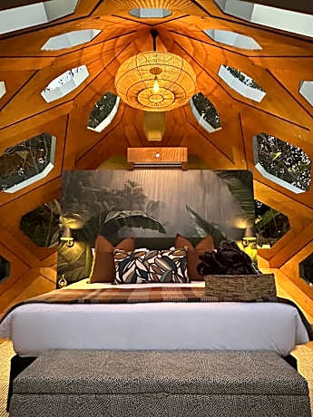 The Hive - Jungle at Misty Mountain Reserve